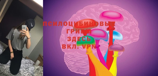 СК Арсеньев